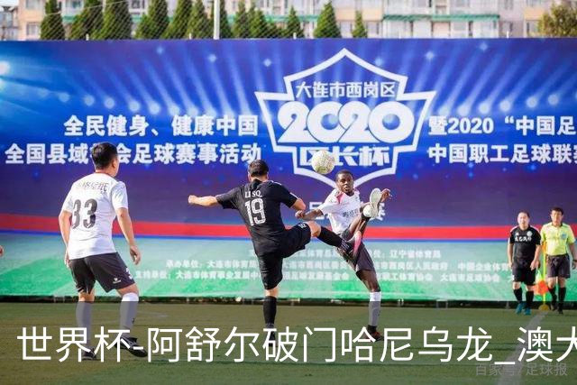 世界杯-阿舒尔破门哈尼乌龙 澳大利亚1-1埃及进点球