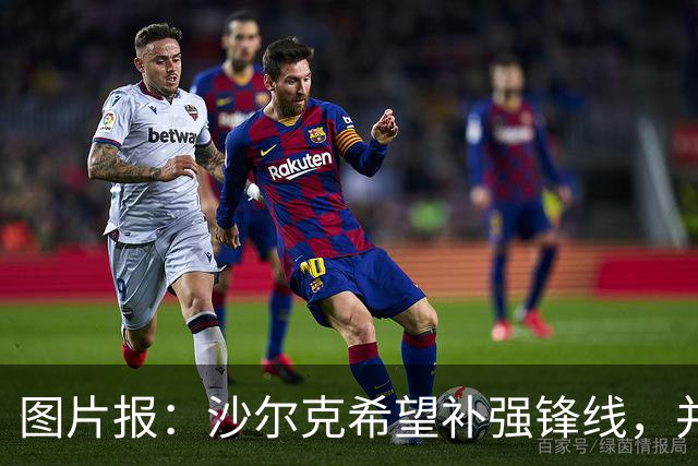 图片报：沙尔克希望补强锋线，并为40岁哲科提供了续约合同