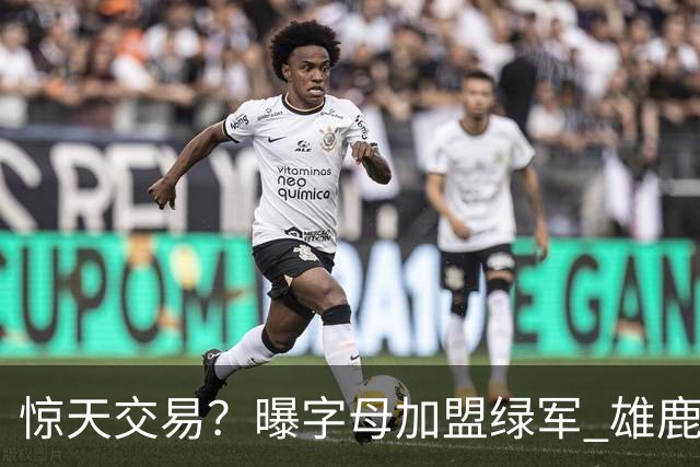 惊天交易？曝字母加盟绿军 雄鹿为布朗寻找第三方