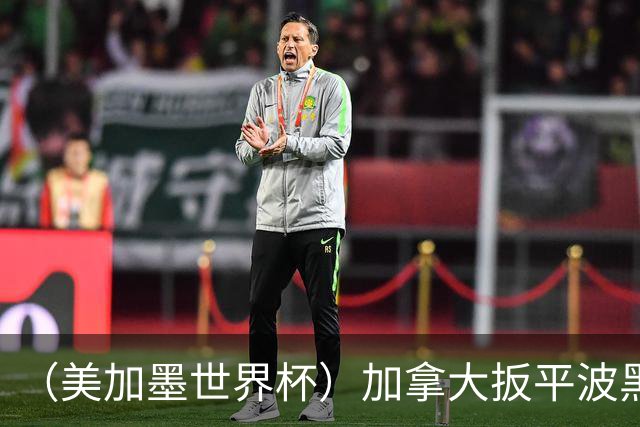 （美加墨世界杯）加拿大扳平波黑 获队史世界杯首分