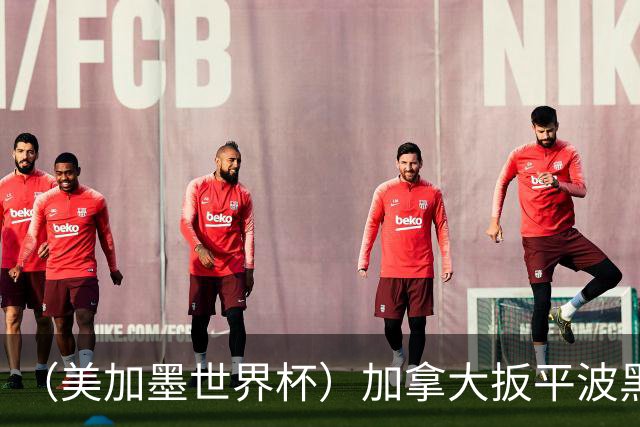 （美加墨世界杯）加拿大扳平波黑 获队史世界杯首分